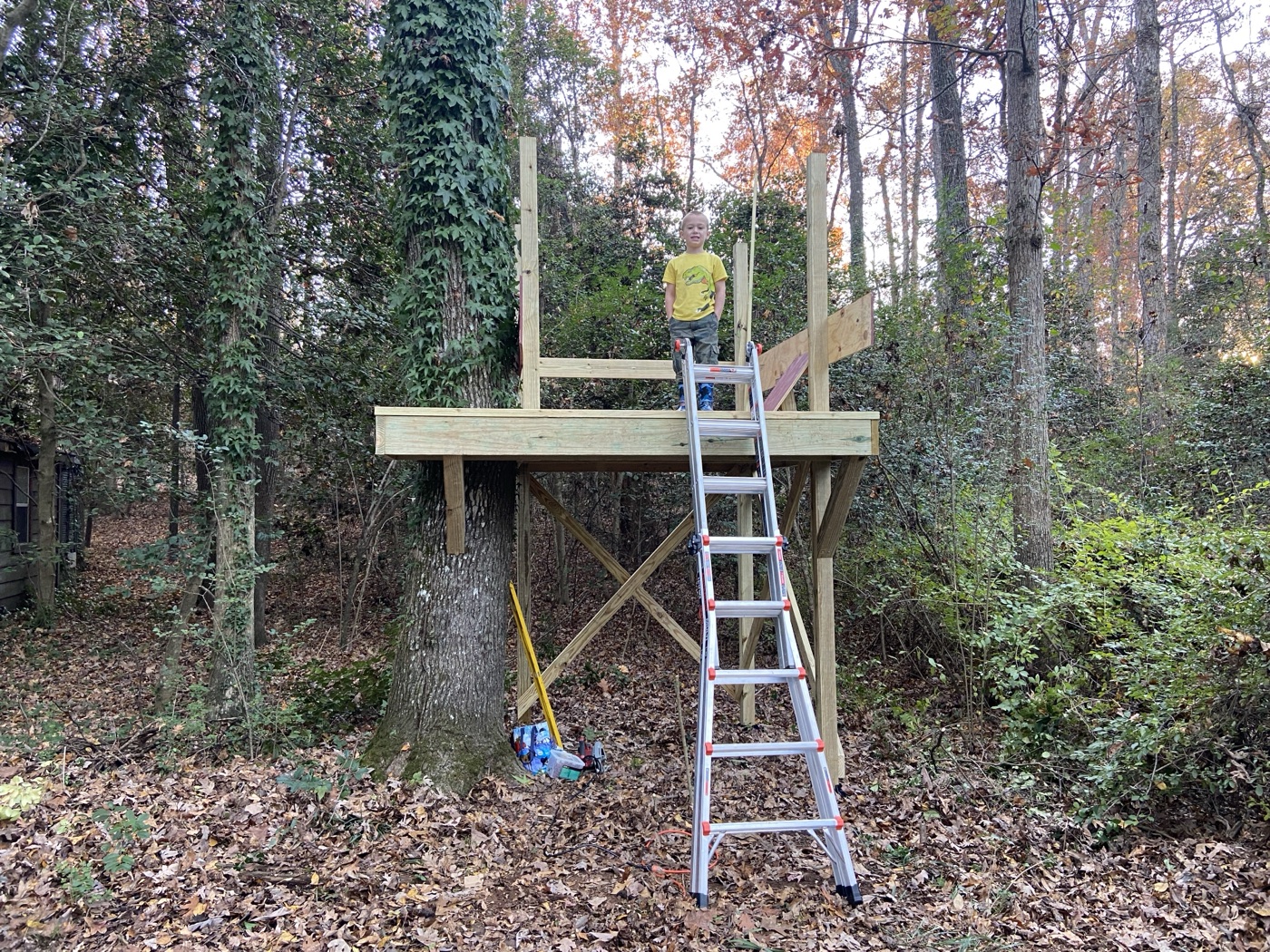 Treehouse platform framing in progress